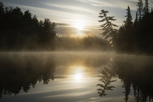 Morning River in Algonquin, 16" x 20" canvas print