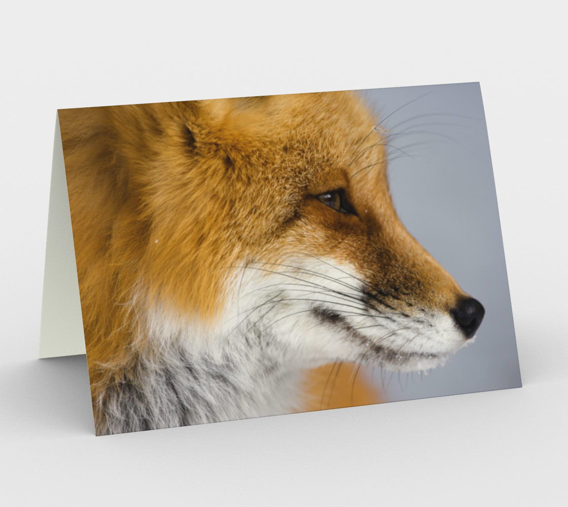 fox greeting card, set of 3