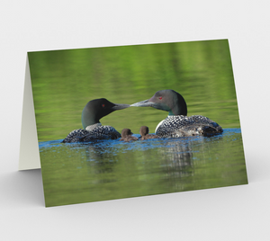 loon family greeting cards, set of 3