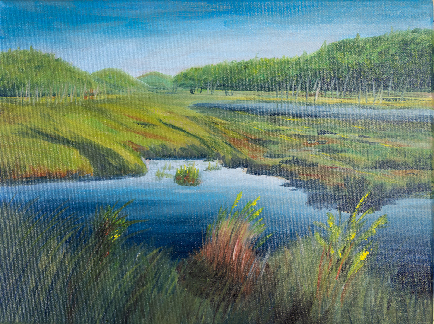 Green marsh