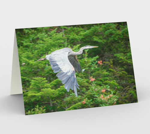 Blue heron stationary card, set of 3