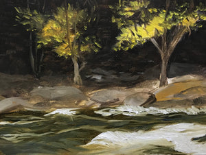 Yellow leaves on the Oxtongue Rapids